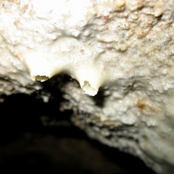 jaskinie