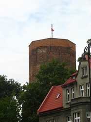 1b