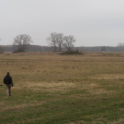 Bonikowo (Grodzisko)