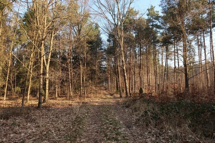 3a6
