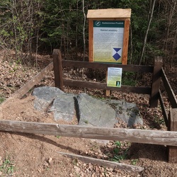 Głuchołazy,Podlesie-kamień graniczny