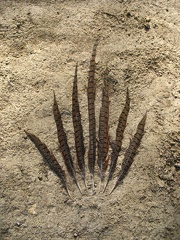 3a1