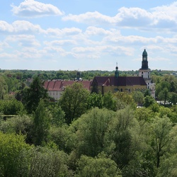 Brochocin,Trzebnica