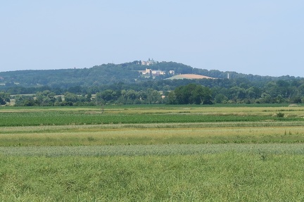 3c9