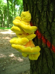 3e2c
