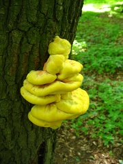 3e2b