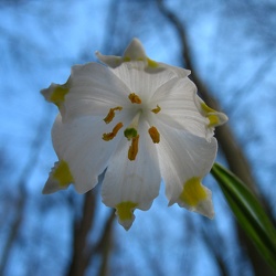 różne