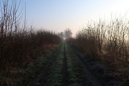 3a5