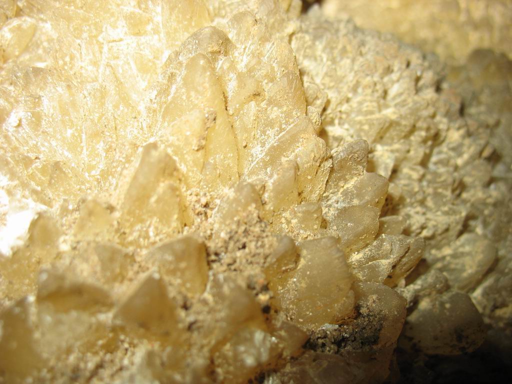 1f