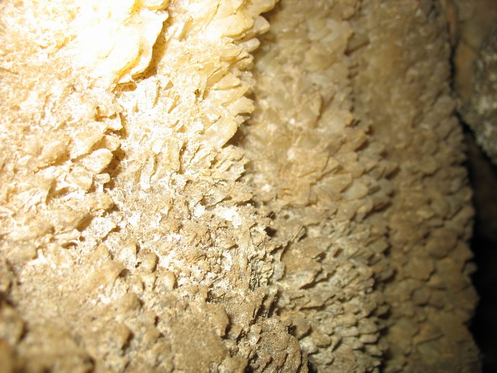 1g
