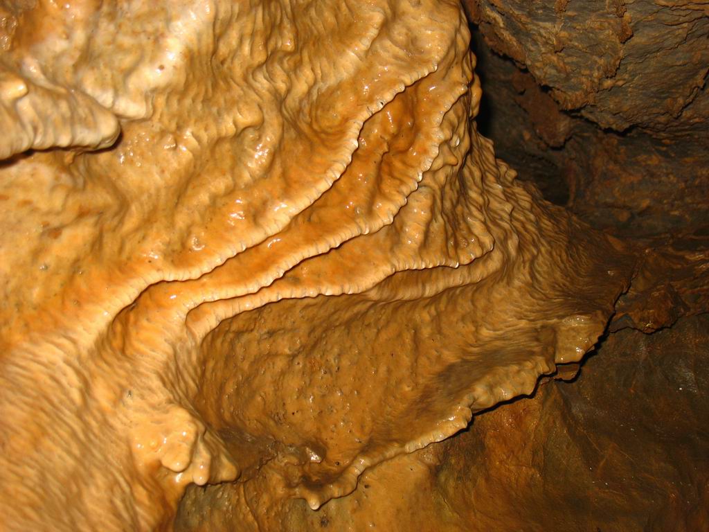 1l