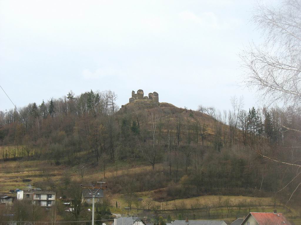 1b