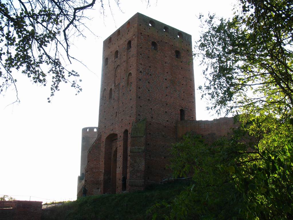 1c