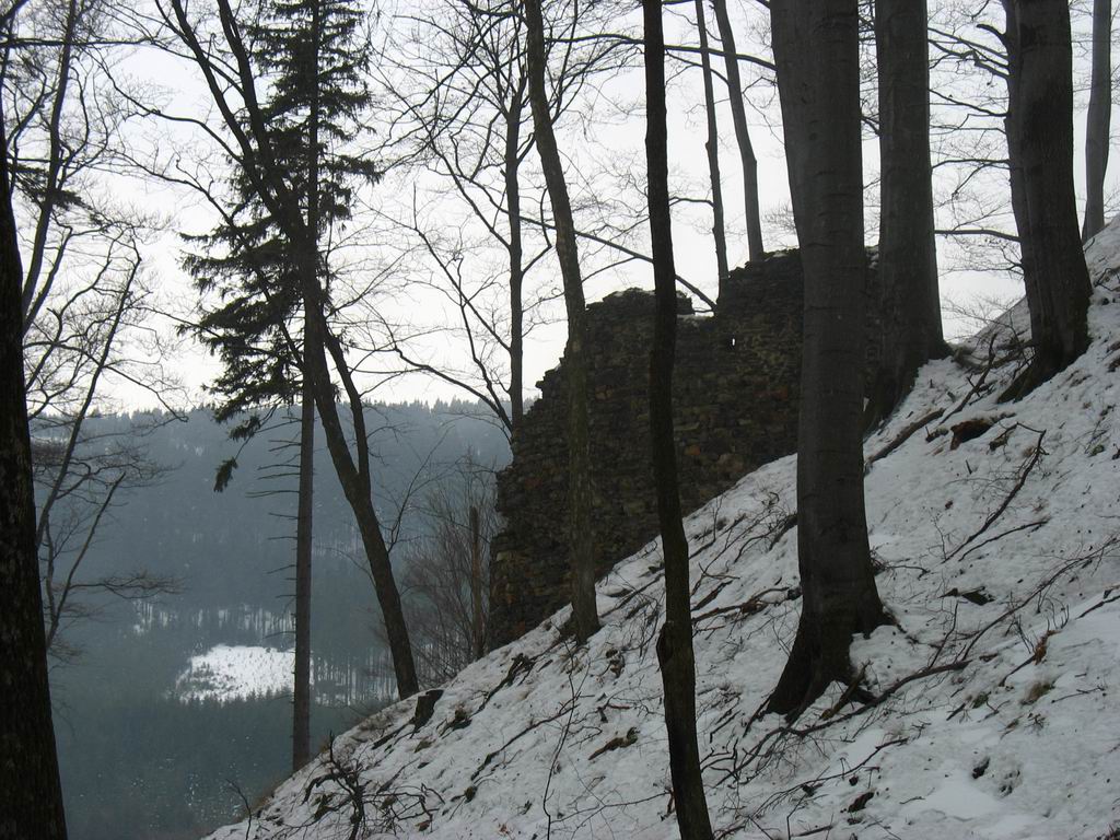 1c